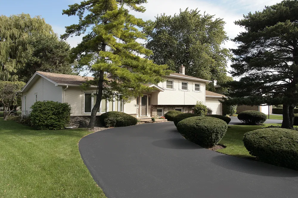 A close-up of a newly paved asphalt driveway, showcasing a smooth, dark surface with a slight sheen, bordered by green grass and a few decorative stones along the edge.