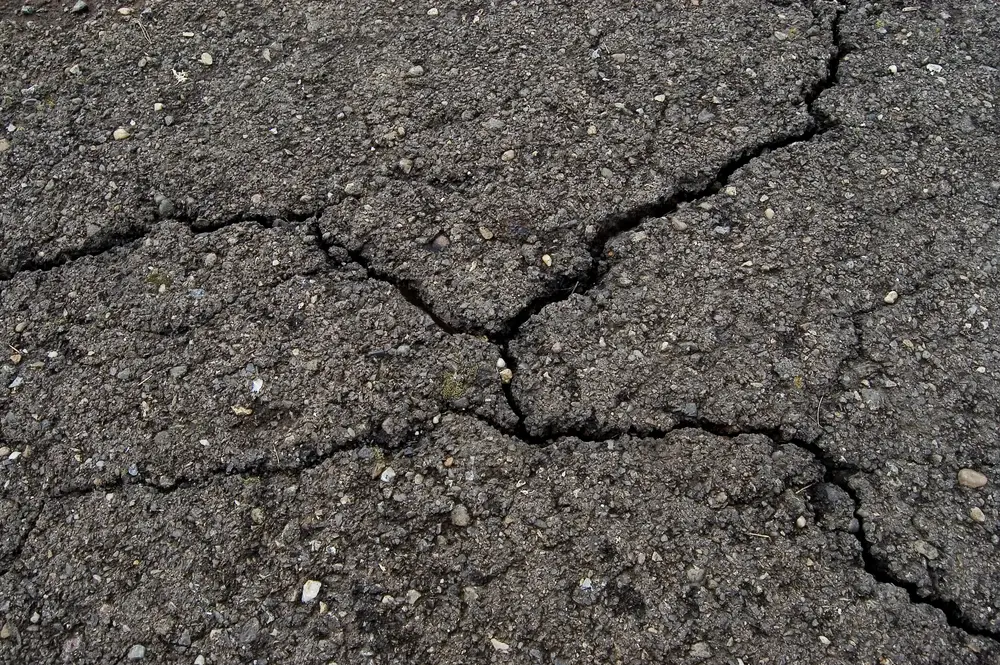 Techniques for repairing cracks in the road.