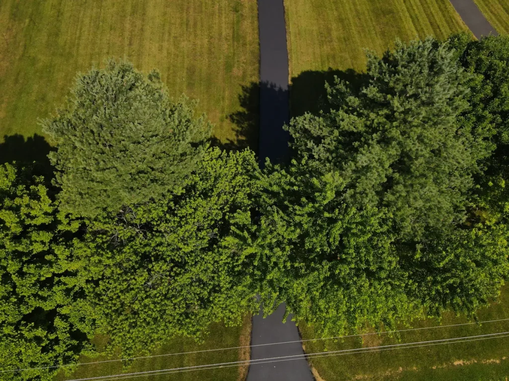 An after photo of a freshly sealed driveway in Carlisle, showcasing a smooth, glossy black surface. The edges are lined with grass, and sunlight casts soft shadows on the asphalt.