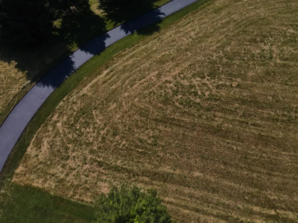 Alt text: A freshly sealed asphalt driveway in Carlisle, showcasing a smooth, shiny black surface. The edges are neat with a slight incline towards a well-maintained lawn.